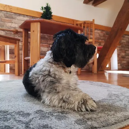 őrségi Malom Panzió Couette-café 3*