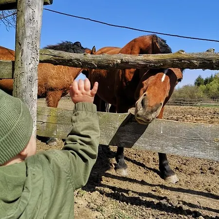 Couette-café őrségi Malom Panzió