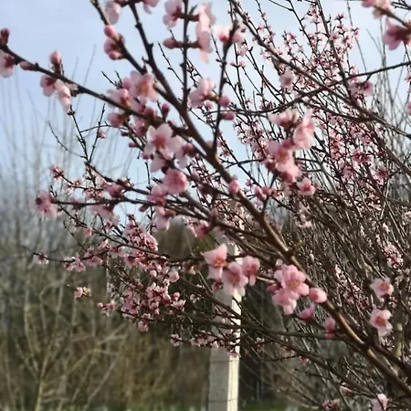 őrségi Malom Panzió Couette-café 3*