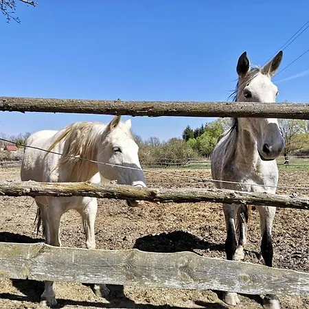 őrségi Malom Panzió Couette-café 3*